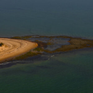 Au cœur de la mangrove. Delta du Sine Saloum. Sénégal.