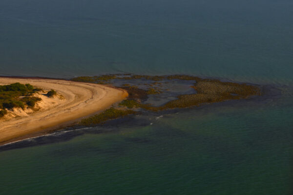 Au cœur de la mangrove. Delta du Sine Saloum. Sénégal.