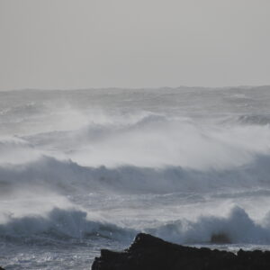 Impulsivité ouessantine