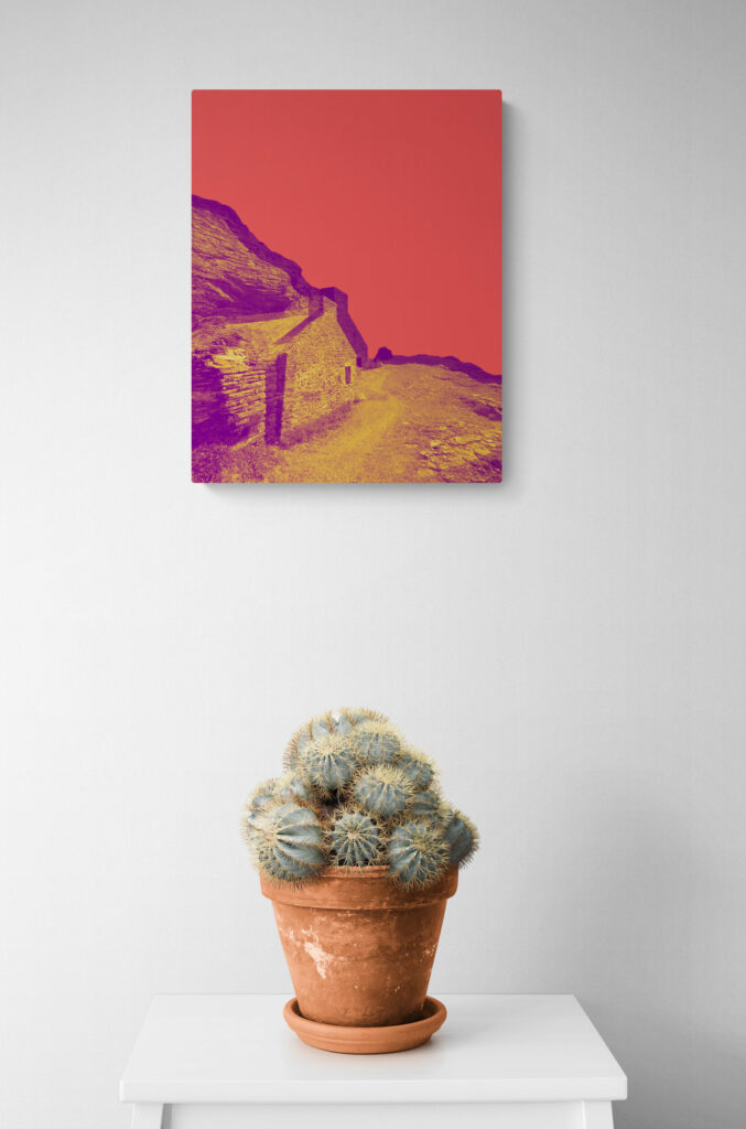 CAP DE CARTERET n° 1 (in situ)